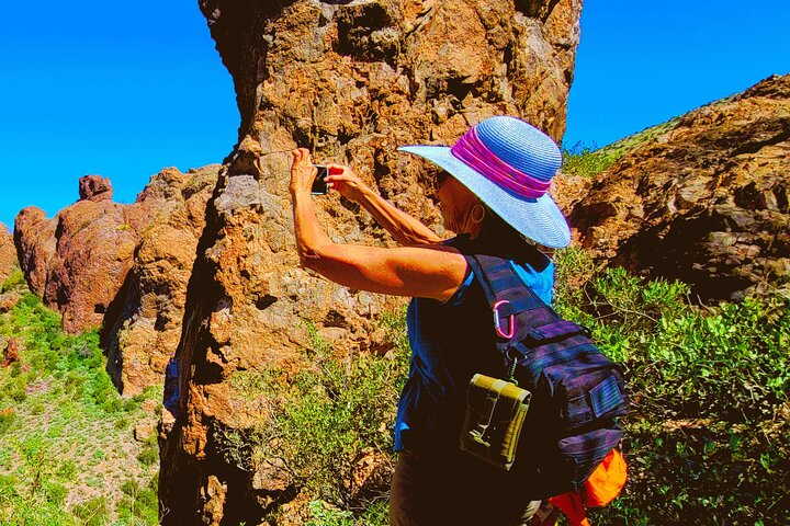 Exclusive: Happy Cactus Tour to Apache Trail & Superstition Mtn - Photo 1 of 25